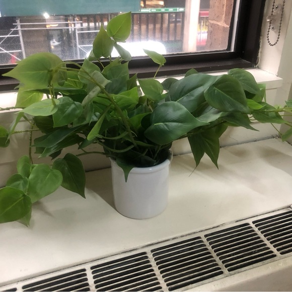 Threshold Accents Threshold Potted Faux Plant Tag Still Attached